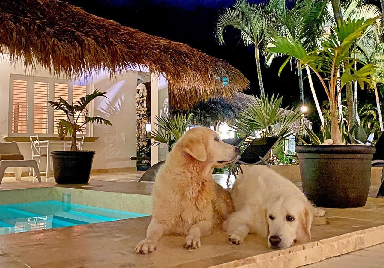 Bed and Breakfast Adults-Only Hacienda Terra Taina Las Terrenas Esterno foto